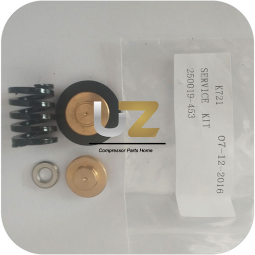 Regulator Kit 250019-453